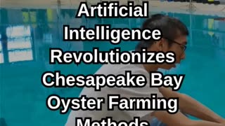 AI Revolutionizes Chesapeake Bay Oyster Farming