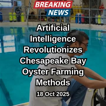 AI Revolutionizes Chesapeake Bay Oyster Farming