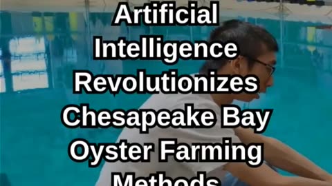 AI Revolutionizes Chesapeake Bay Oyster Farming