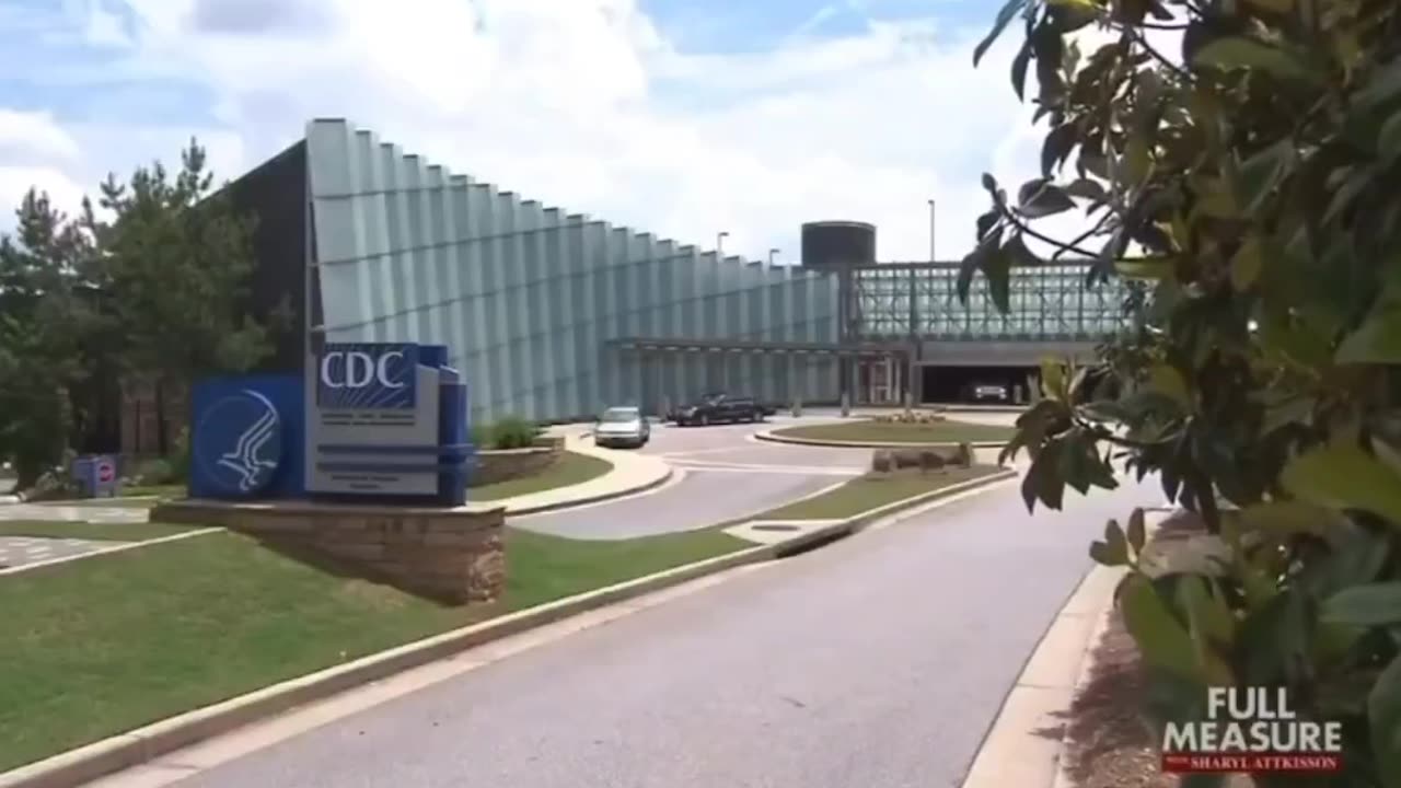 Respected Pro-Vaccine Medical Expert admits Vaccines CAN cause Autism...