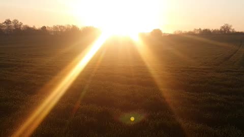 Reptilian Frequency how to detect it