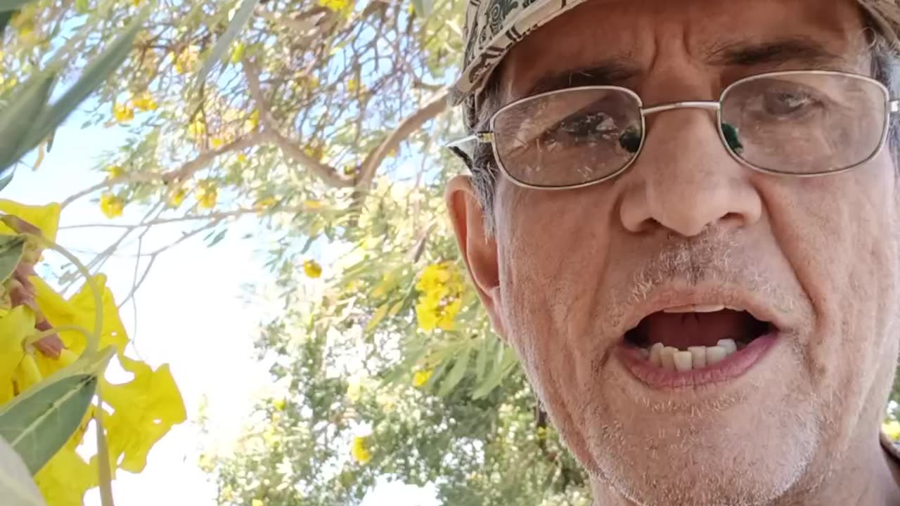 Vida Abundante Juan 10:10