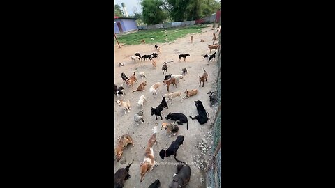 जिन्दगी