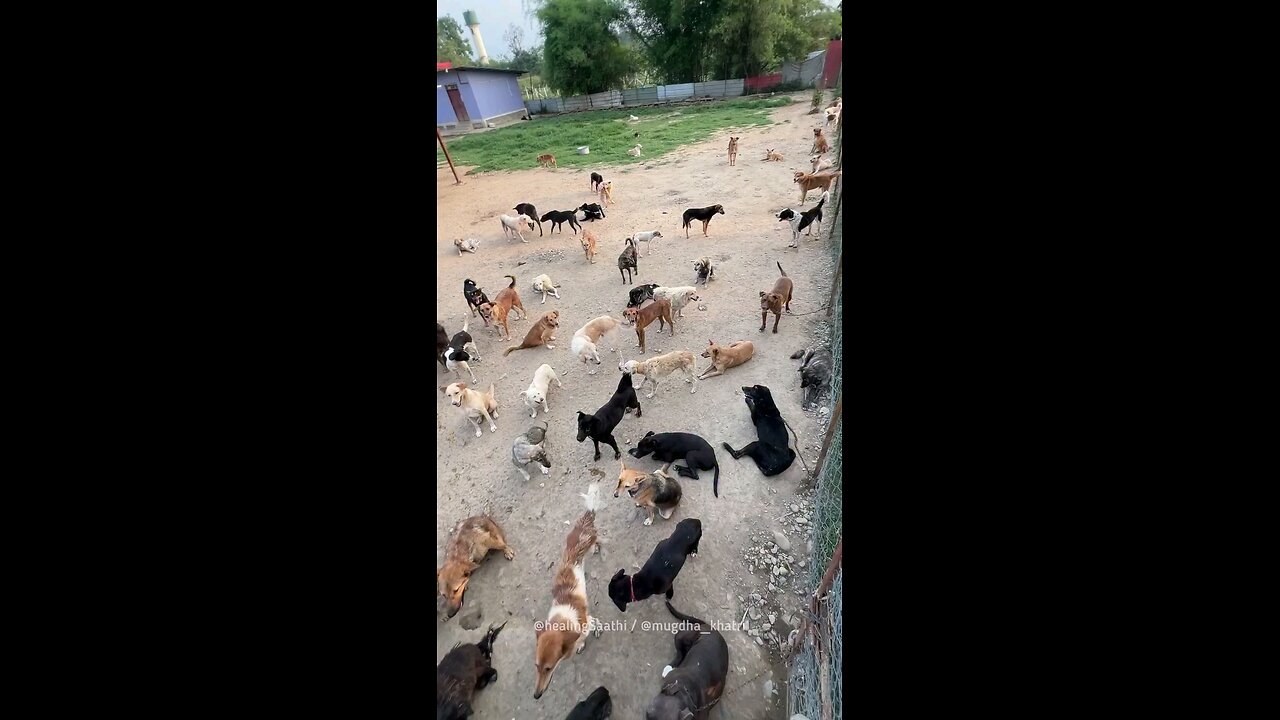 जिन्दगी