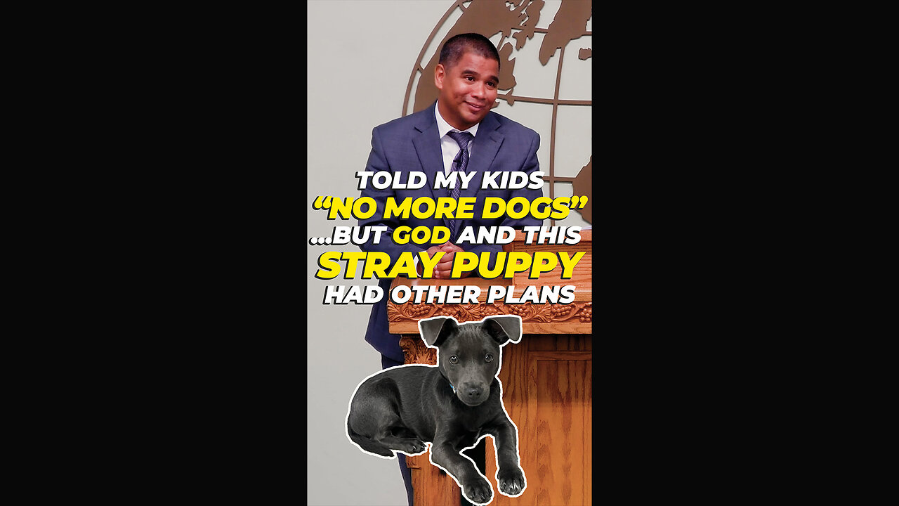 Told My Kids "No More Dogs"... But God and This Stray Puppy Had Other Plans