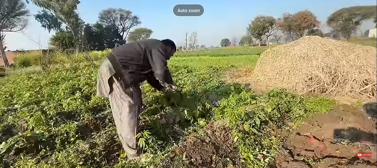 Turkish Stuffed potato recipe