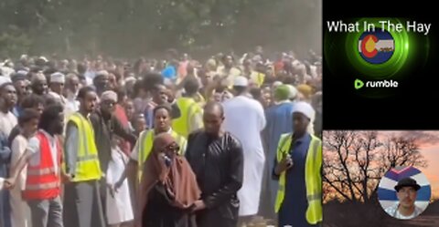 MASS MIGRATION and the EFFECTS