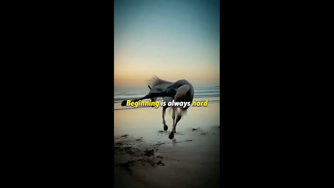 Motivation