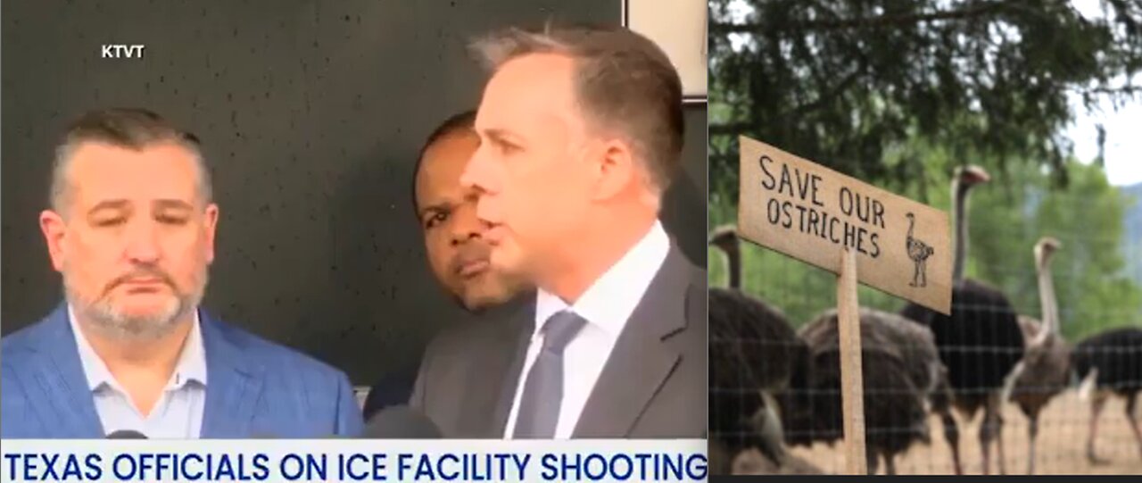 SHOOTING AT DALLAS ICE FACILITY-FIRST NATIONS SAVES OSTRICHES-FOR NOW*ATTACK ON AREA 51*