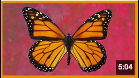 "Greg Reese: Exploring Trauma Based Mind Control"