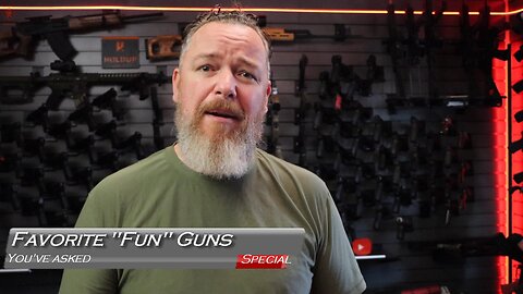 Favorite Fun Guns