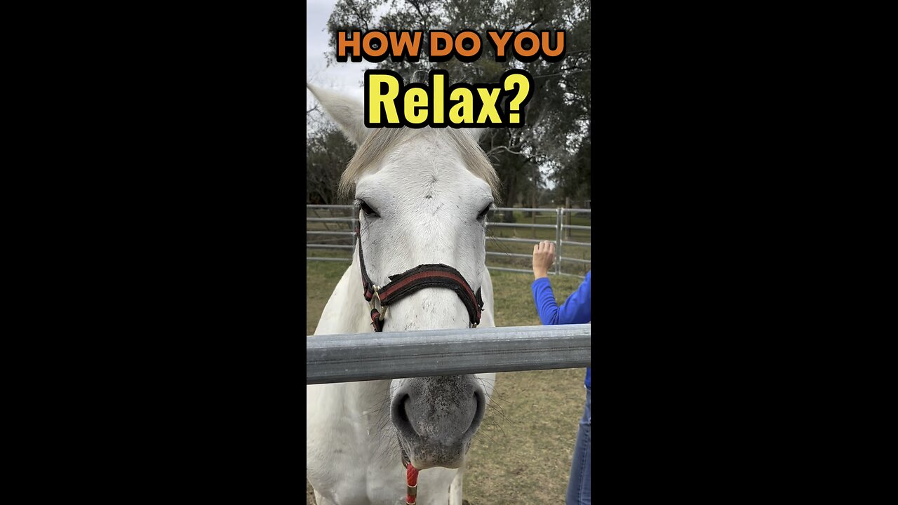 How Do You Relax? 🐴💭