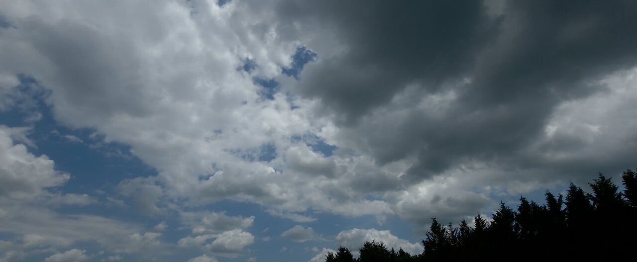 Morning Sky, Birds singing