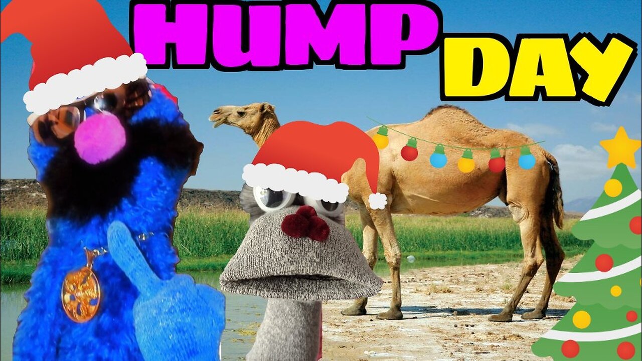 HUMP DAY | Twas The Hump Before Xmas