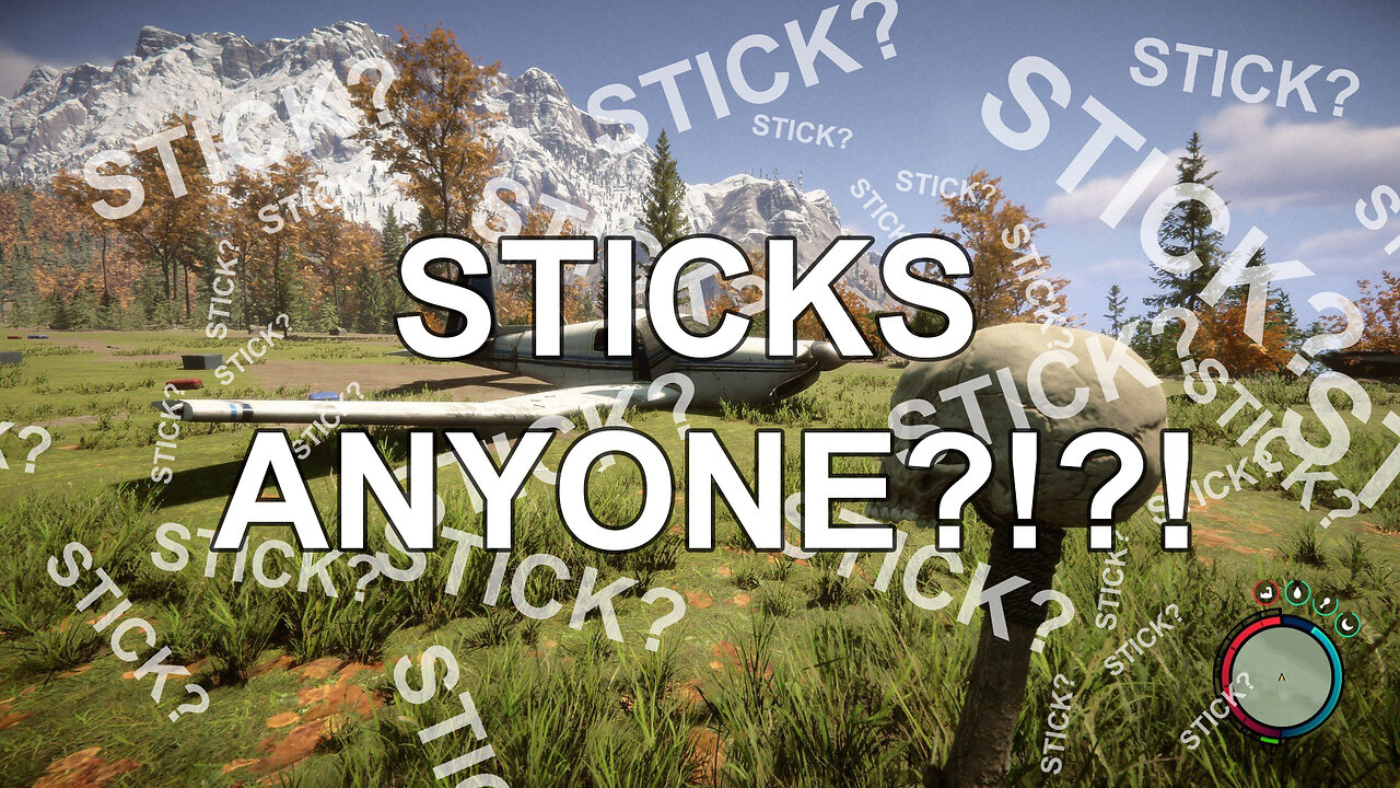 Do you have a stick?