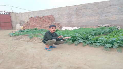 Kohinoor ne a ki la dita 😚 |