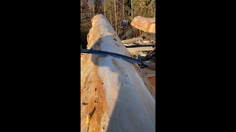 How To Cut Logs