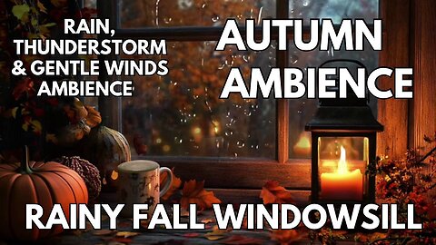 🌧️Rainy Fall Windowsill Ambience | Rain, Thunderstorms & Gentle Winds | Autumn ASMR 4K