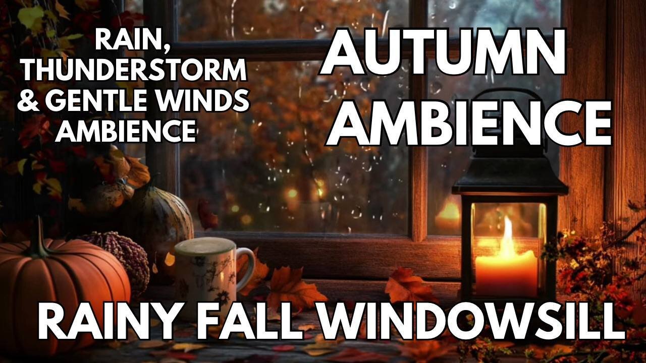🌧️Rainy Fall Windowsill Ambience | Rain, Thunderstorms & Gentle Winds | Autumn ASMR 4K