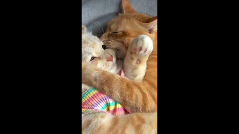 Love 💕 Bite 😘