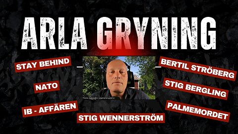 Säkerhetstjänster: Arla Gryning, Stay Behind, IB-affärerna och NATO?