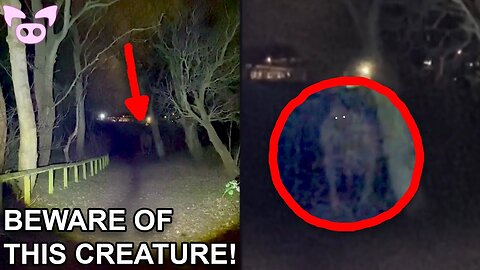 Creepy Videos That Will Grow Your Fear