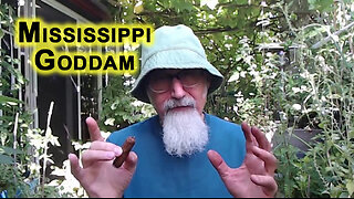 Mississippi Goddam: Learn About Racism in Unites States of America From Nina Simone & Billie Holiday