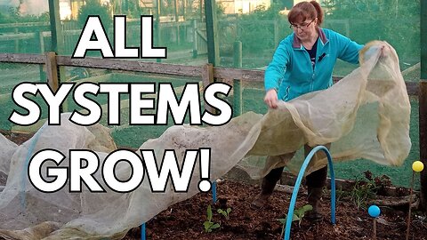 Seed HQ to Plot Plantings & Hose Woes! | UK Allotment Gardening