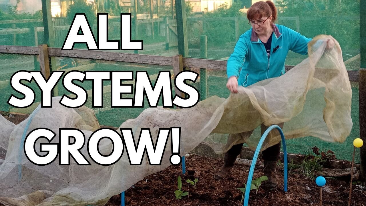 Seed HQ to Plot Plantings & Hose Woes! | UK Allotment Gardening