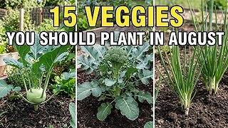 15 Vegetables You Should Plant in August ASAP (Video)
