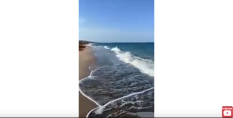 SAVAGE WALKS ON THE BEACH. DISCUSSES THE BEAUTY OF THE SANDPIPER