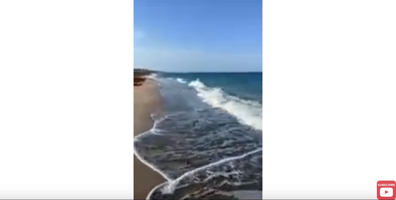 SAVAGE WALKS ON THE BEACH. DISCUSSES THE BEAUTY OF THE SANDPIPER