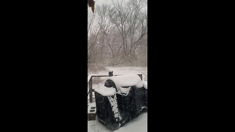 First Snow Storm Of The Season Moving Into Vernon Illinois 11 29 2025