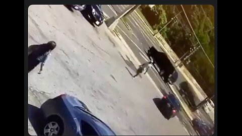 Nutjob swinging swords in a grocery store parking lot gets taken out.😳🗡️💥💥💥