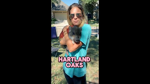 Here are some cute clips from our recent events. Hope you enjoy.