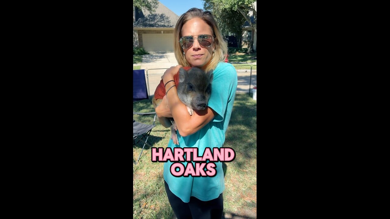 Here are some cute clips from our recent events. Hope you enjoy.