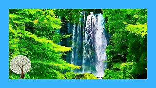 How to Stop Being Stressed | Relaxing Piano Music with Water Sounds 🎹 Relaxing Music
