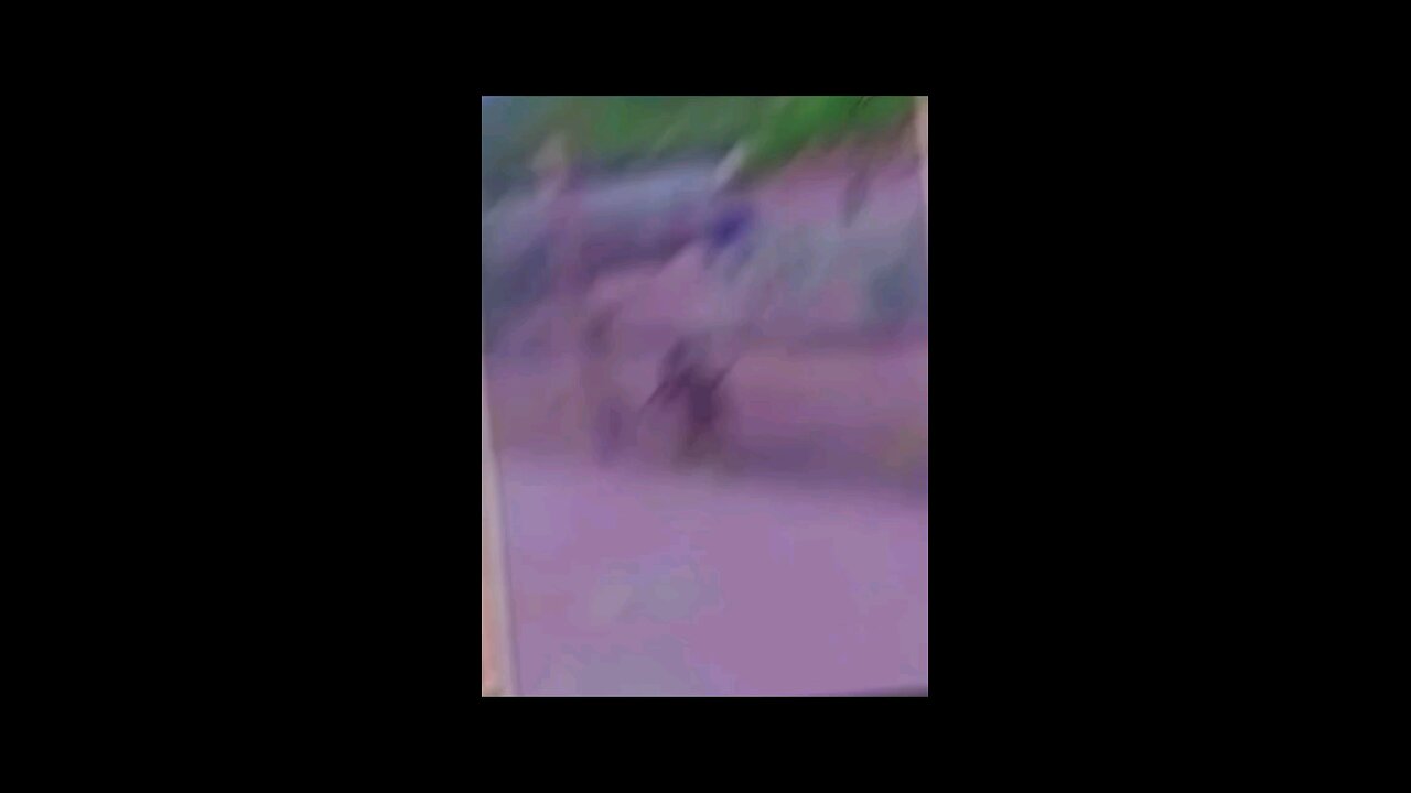 bkbllbl