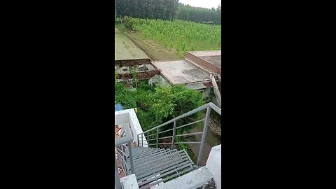 satisfying Video