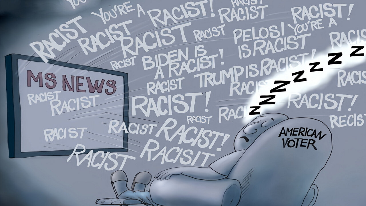 The MSM Convinces Their Lemmings Trump is Hitler (ad free)