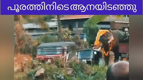ഇലക്ട്രിക് പോസ്റ്റ്‌ ഉൾപ്പടെ വാഹനങ്ങൾ കുത്തി വളർത്തിയ കൊമ്പൻ _ Elephant attack kerala 2025 _ viral