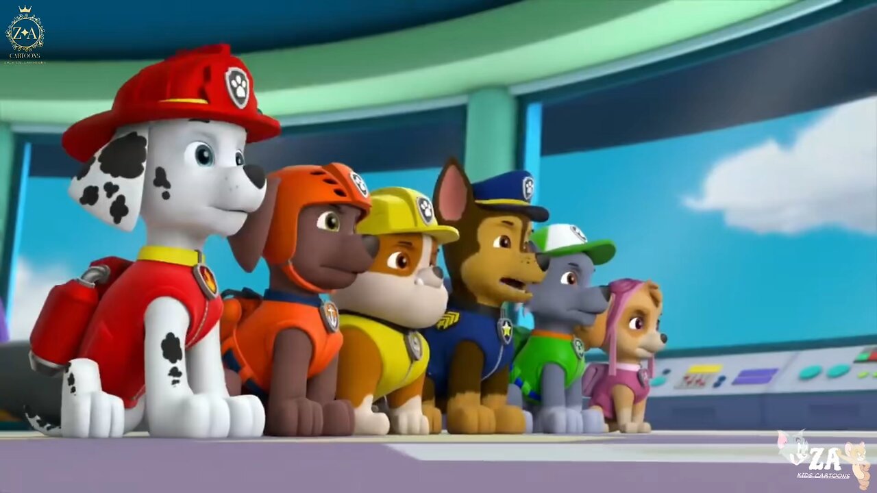 PAW Patrol Cartoons