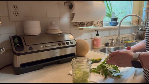 What To Do With All Those Extra Cucumbers