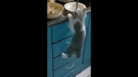 Operation: Snack Steal Gone Wrong
