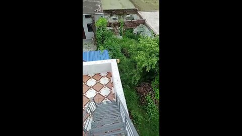 satisfying Video