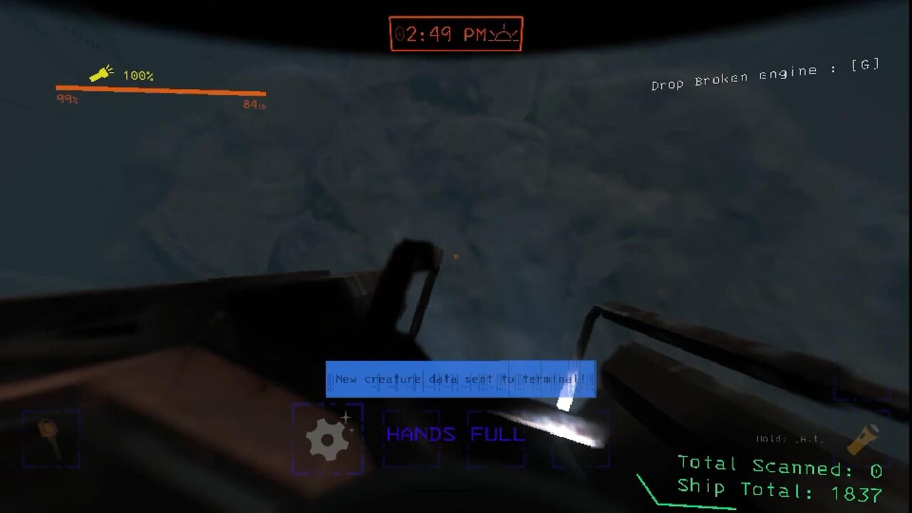 Flight of the Lost