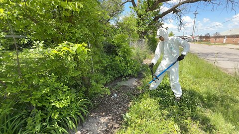 I Took a RISK Cleaning This Yard and Could’ve Ended Up in the Hospital