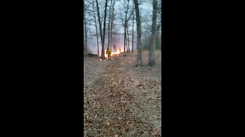 Phase 2 of controlled burn March 2017