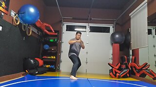 WTD 2 Step Kick Combination 177