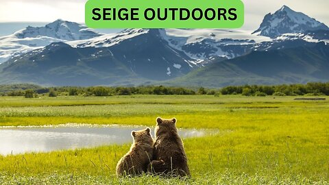 Katmai National Park Bear Feeding Live Stream!